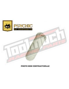 LAINE DE ROCHE VRAC PSYCHIC 2 temps 700°C
